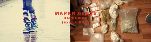 мяу мяу мука Алзамай