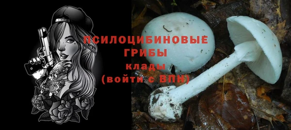 PSILOCYBIN Алексин