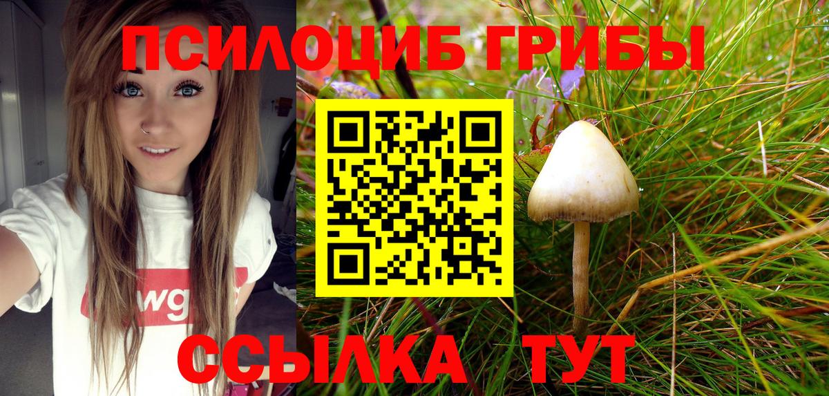 Галлюциногенные грибы Magic Shrooms Камышин