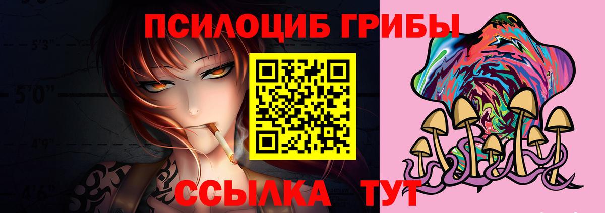 Галлюциногенные грибы GOLDEN TEACHER  Вход с VPN  Камышин 